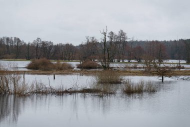 FLOOD - Yağmurdan sonra taşan nehir vadisi ve çayırlar