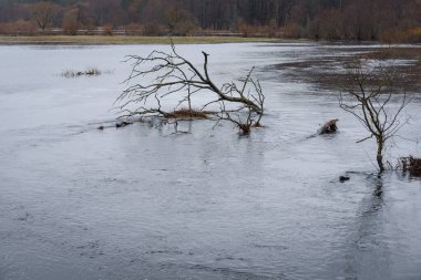 FLOOD - Yağmurdan sonra taşan nehir vadisi ve çayırlar
