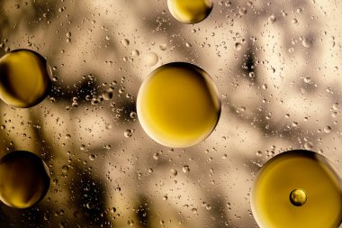 KONUŞTURMA - Süslü bir arkaplan veya doku, ya da belki soyut bir resim