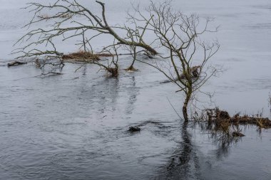 FLOOD - Yağmurdan sonra taşan nehir vadisi ve çayırlar