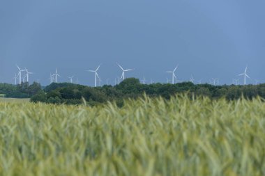 Rüzgar FARM - Ormanların ve yeşil tarım alanlarının arka planına karşı yenilenebilir enerji kaynakları