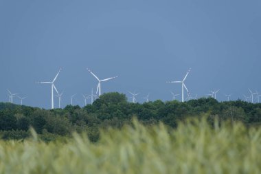 Rüzgar FARM - Ormanların ve yeşil tarım alanlarının arka planına karşı yenilenebilir enerji kaynakları