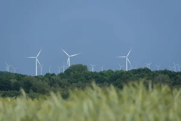 Rüzgar FARM - Ormanların ve yeşil tarım alanlarının arka planına karşı yenilenebilir enerji kaynakları