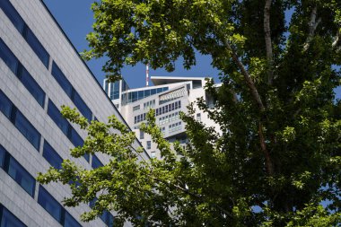 Ağaç ve İnşaat - Modern bir şehrin manzarası