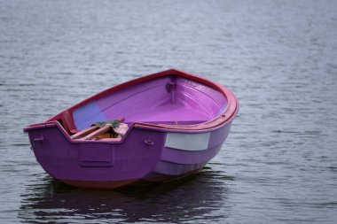 Göl kenarındaki LANDSCAPE Gölde küçük pembe bir kayık