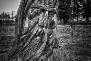 CZAPLINEK, BATI POMERANYAN - POLAND - 14 Haziran 2024: Kavak ağacının gövdesine sanatçı Edward Szatkowski tarafından oyulmuş eski bir balıkçı figürü