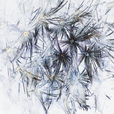 DENDELION - Hafif ve kabarık tohumlar