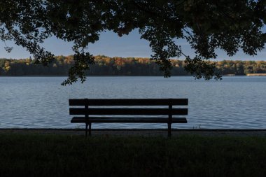 AUTUMN LANDSACAPE - A bench in park by lake under colorful leaves on a sunny day clipart