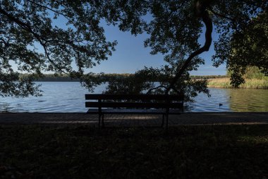 AUTUMN LANDSACAPE - A bench in park by lake under colorful leaves on a sunny day clipart