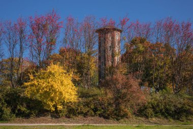  AUTUMN in CITY - Renkli ağaçların arka planına karşı tarihi bir su kulesi