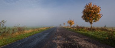 GOLDEN AUTUMN LANDSCAPE - Kırsal bir yol boyunca renkli akçaağaç yaprakları