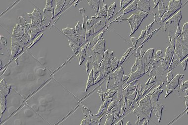 FiELD BINDweed - Çelik ağ çitine dolanmış bir bitki