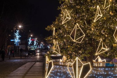 KOLOBRZEG, Batı Pomeranya - POLAND - ARALIK 06, 2024 - Belediye binasının meydanındaki Noel ağacı renkli aydınlatmalarla