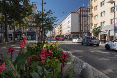 GDYNIA, POMERANIAN REGION - POLAND - SEPTEMBER 04, 2024: Colorful flowers and people on the city street clipart