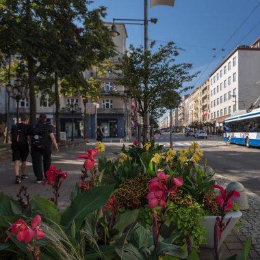GDYNIA, POMERAN REJON - POLAND - Eylül 04, 2024: Renkli çiçekler ve şehir sokaklarındaki insanlar