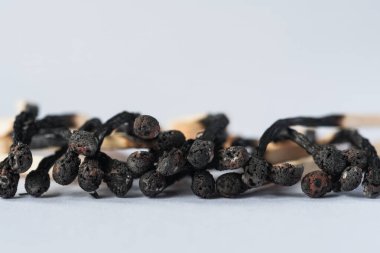 DENİZ HAYAT - 3 yanmış ve yanmış kibrit