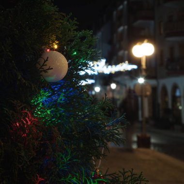 Noel Zamanı - Bir şehir caddesinde ağaç dalları üzerinde Noel süslemeleri ve ışıklar
