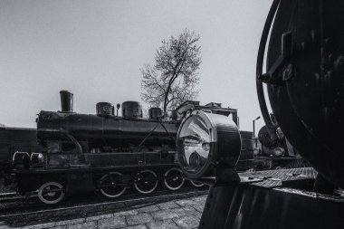 STEAM LOCOMotivES - Tarihi dar ölçü demiryolu araçları
