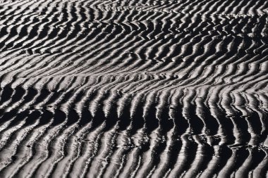 SEA BEACH - Sahilde dalgalı ıslak kum