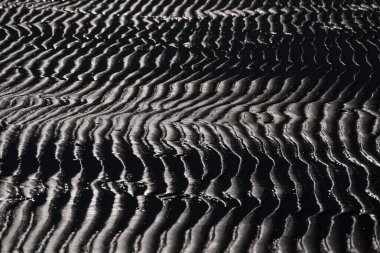 SEA BEACH - Sahilde dalgalı ıslak kum