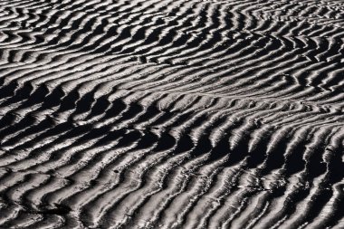 SEA BEACH - Sahilde dalgalı ıslak kum