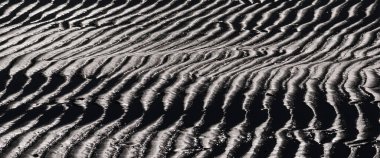 SEA BEACH - Sahilde dalgalı ıslak kum