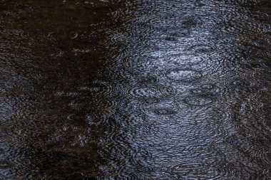 Yağmur - Nehir yüzeyine yağmur damlaları düşer 