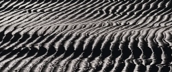 SEA BEACH - Sahilde dalgalı ıslak kum