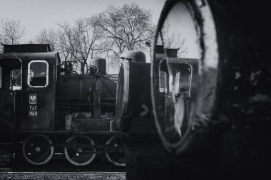 GRYFICE, Batı Pomeranya - POLAND - 28 Mart 2025: Steam Lokomotifi - Tarihi dar ölçü demiryolu aracı