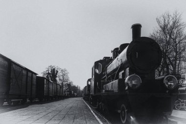  STEAM Lokomotifi - Tarihi dar ölçü demiryolu aracı