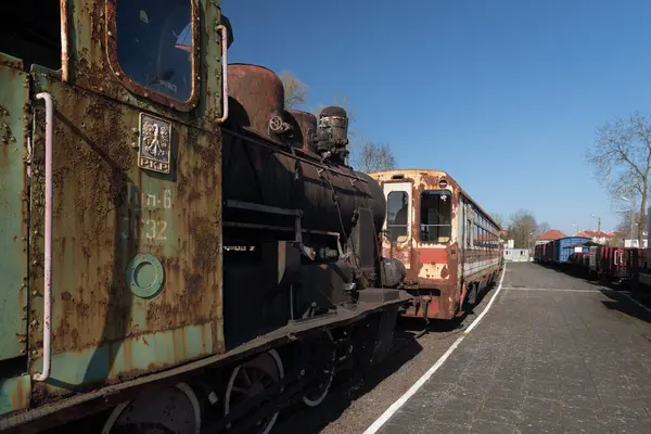 GRYFICE, Batı Pomeranya - POLAND - 28 Mart 2025: Steam Steam Lokomotifi - Tarihi dar ölçü demiryolu aracı