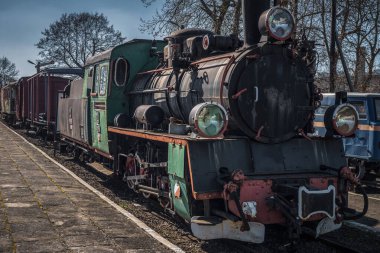 GRYFICE, Batı Pomeranya - POLAND - 28 Mart 2025: Steam Lokomotifi - Tarihi dar ölçü demiryolu aracı