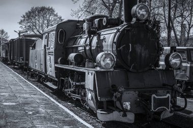 GRYFICE, Batı Pomeranya - POLAND - 28 Mart 2025: Steam Lokomotifi - Tarihi dar ölçü demiryolu aracı