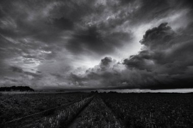 Hava Durumu - Yeşil alanlar üzerinde dramatik yağmur bulutları 
