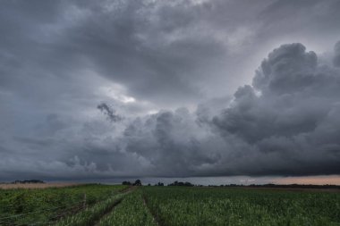 Hava Durumu - Yeşil alanlar üzerinde dramatik yağmur bulutları 