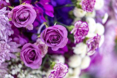 Çeşitli olaylarda çiçeklerin güzel arkaplanı.