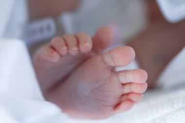 Bu bir dermatit küçük siğil şişlikleri çocukta görünür..