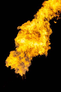 Benzinden yanan şenlik ateşi enerjisi izole edilmiş siyah bir zeminde izole edilmiş..