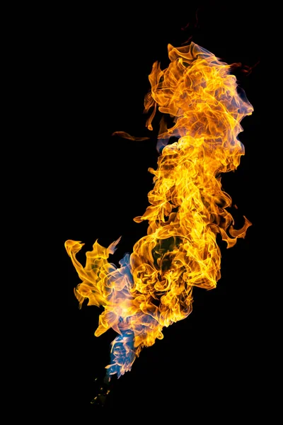 Bonfire Energia Hogy Éget Gáz Elszigetelt Fekete Elszigetelt Háttér Gyönyörű — Stock Fotó