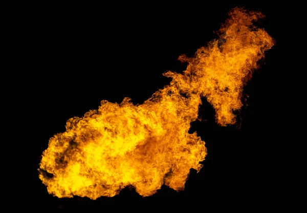 黒い隔離された背景に隔離されたガスから燃焼するたき火のエネルギー 美しい ストック写真