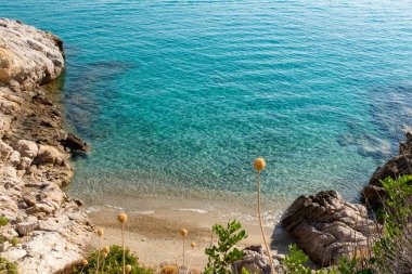 Livadi sahilinin yanında güzel bir doğa. Mavi sularla dolu sakin bir sabah.