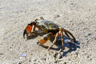 İsveç 'te bir İskandinav rock takımadasında küçük bir deniz feneri.
