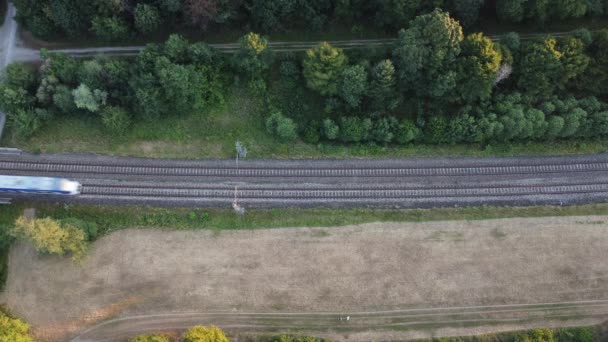 Железнодорожные Пути Через Немецкий Лес Возле Мюнхена — стоковое видео