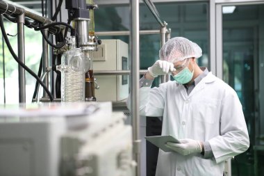 scientist analyzing a biological and ecological hemp plant used for herbal pharmaceutical CBD oil and THC oil in a laboratory.