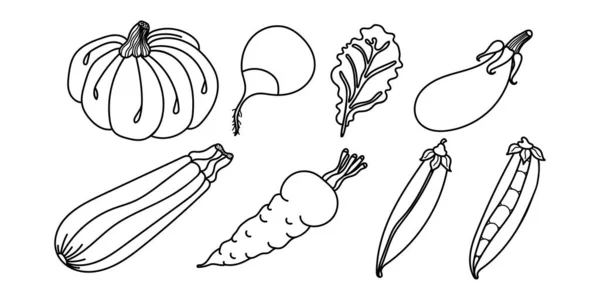 Handgezeichnetes Gemüse Set Von Symbolen Handgezeichnetes Gemüse Kürbis Karotten Erbsenschoten — Stockvektor