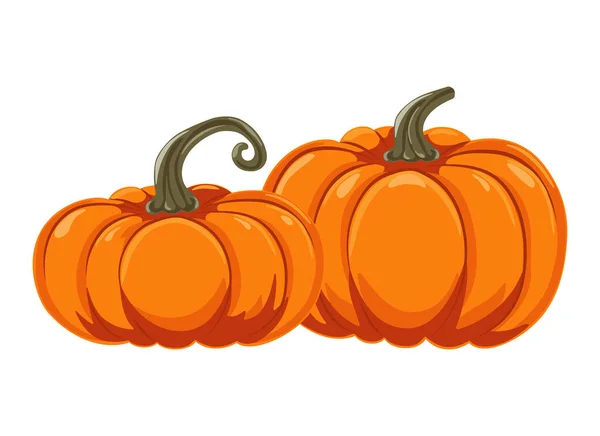 Dvě Podzimní Oranžové Dýně Kresleném Stylu Design Pro Halloween Den Royalty Free Stock Ilustrace