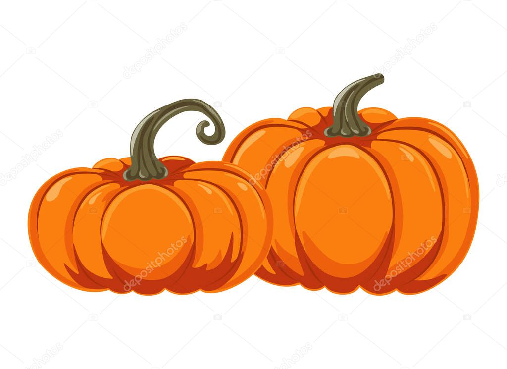 Two autumn orange pumpkins in cartoon style. Design element for Halloween, Thanksgiving, harvest festival. Pumpkin diet vegetable. Vector illustration.