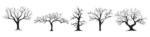 Sílhueta Árvore Coleção Contornos Pretos Árvores Sem Folhas Várias Árvores — Vetor de Stock