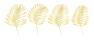 Zarif bir altınla izole edilmiş bir vektör palmiye yaprağı. Altın tropikal yaprak. Kozmetik ürünleri, parfümler, kartpostallar, düğün davetiyeleri, kapaklar, turizm, yama baskılar, ev dekorasyonu..