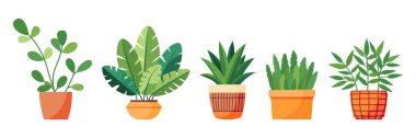 Tencerede birkaç ev bitkisi. Düz stil. Ev, bahçe, veranda, balkon, teras, ofis, oturma odası ve veranda dekorasyonu için saksıdaki yeşil bitki. Vektör illüstrasyonu.